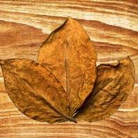 купить табак